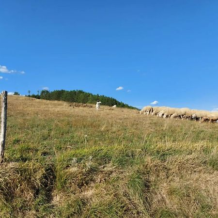 Bnb Bagno Di Bosco Gubbio Kültér fotó