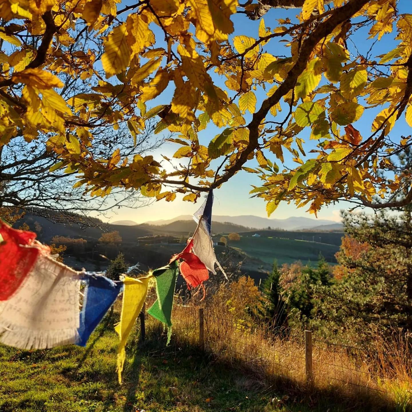 Bnb Bagno Di Bosco Gubbio Kültér fotó