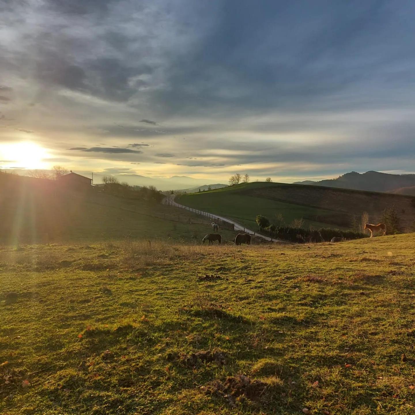 Bnb Bagno Di Bosco Gubbio Kültér fotó