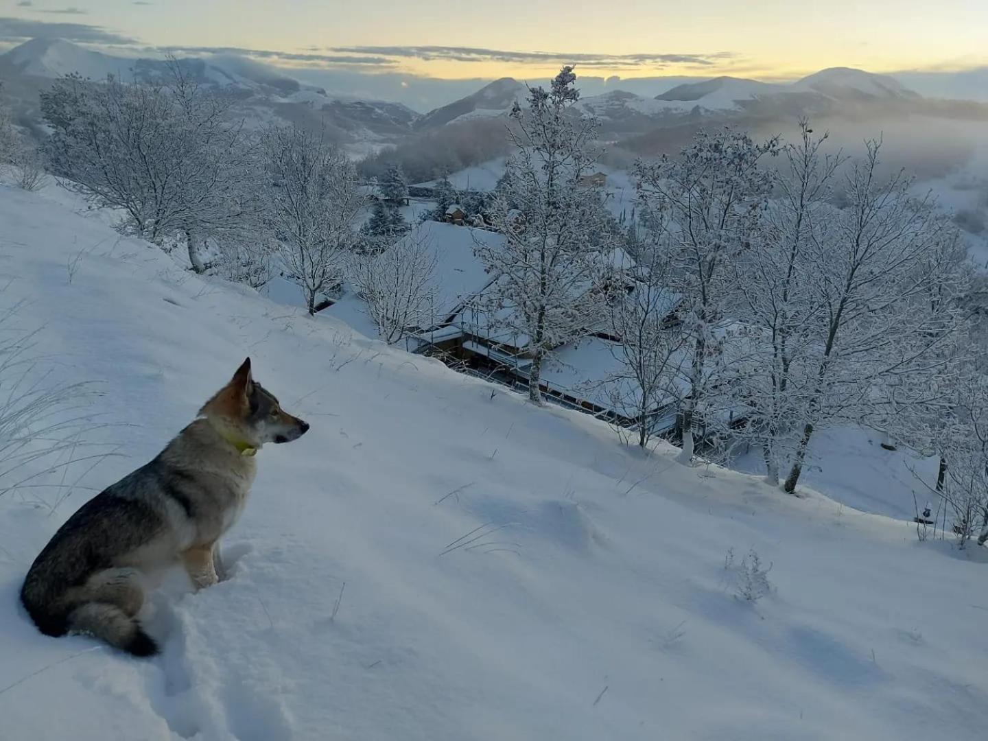 Bnb Bagno Di Bosco Gubbio Kültér fotó